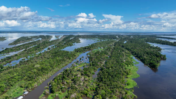 istock Stunning landscape of Amazon Forest at Amazonas State Brazil. 1706255371