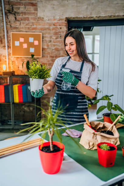 istock Young woman spraying potted plant 1706259913