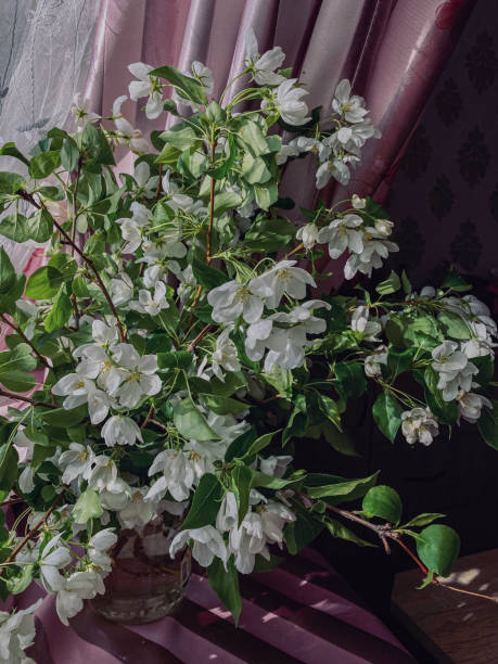 istock Bouquet of jasmine in a vase on the table 1706263416