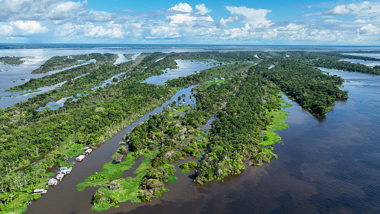 Amazon River at Amazon Rainforest. The biggest tropical rainforest of world. Manaus Brazil. Amazonia ecosystem. Nature wild life landscape. Global warming emissions reduction. Amazon river wild life.