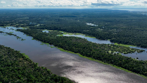 istock Stunning landscape of Amazon Forest at Amazonas State Brazil. 1706267364