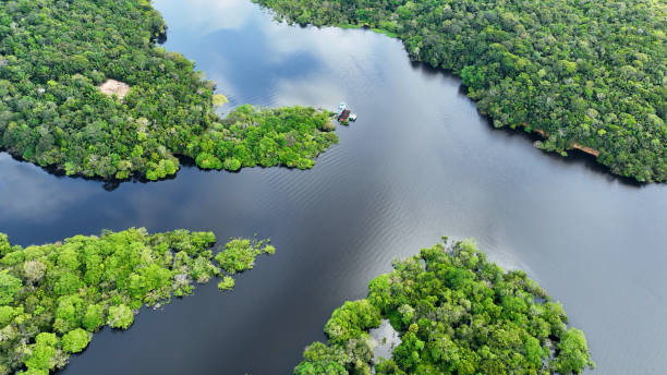 istock Stunning landscape of Amazon Forest at Amazonas State Brazil. 1706267891