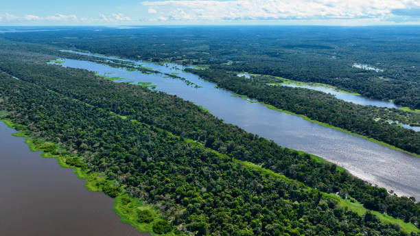 istock Stunning landscape of Amazon Forest at Amazonas State Brazil. 1706268279
