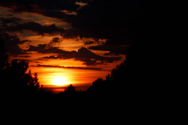 Dusk really dark, seen among the trees.