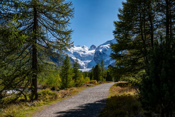 вид на ледник бернина феом мортерач - pontresina european alps st moritz engadine стоковые фото и изображения