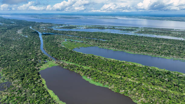 istock Stunning landscape of Amazon Forest at Amazonas State Brazil. 1706273271