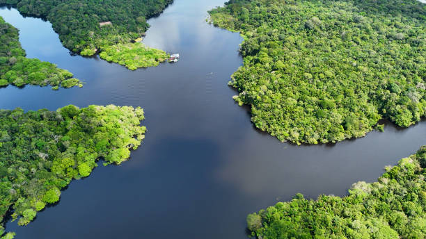 istock Stunning landscape of Amazon Forest at Amazonas State Brazil. 1706277242