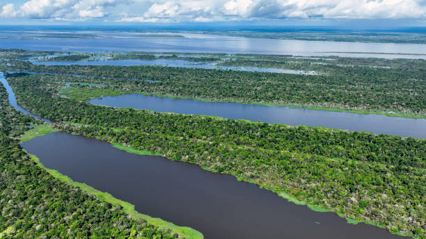 istock Stunning landscape of Amazon Forest at Amazonas State Brazil. 1706277832