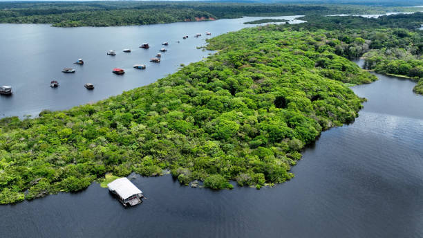 istock Stunning landscape of Amazon Forest at Amazonas State Brazil. 1706279222