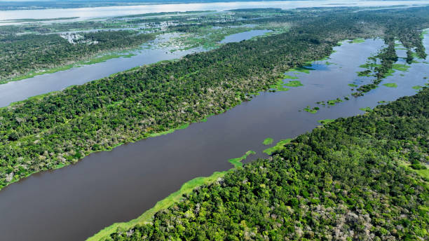 istock Stunning landscape of Amazon Forest at Amazonas State Brazil. 1706283295
