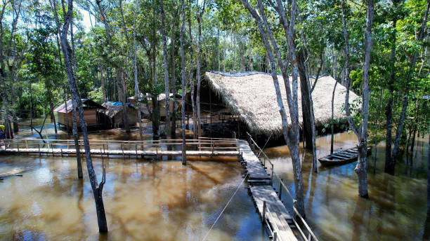 istock Indigenous native village at Amazon Forest Manaus Brazil. 1706291615