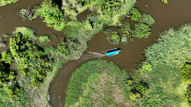 istock Boat sailing at Amazon River at Amazon Rainforest. Manaus Brazil. 1706292253