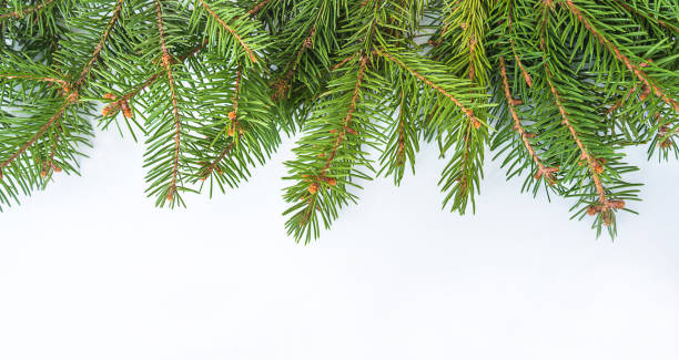 istock Christmas holiday greeting card template; 1706297434