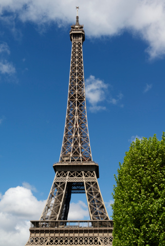 The Eiffel tower and a tree with fresh green foliage on a day in spring with blue sky and white clouds