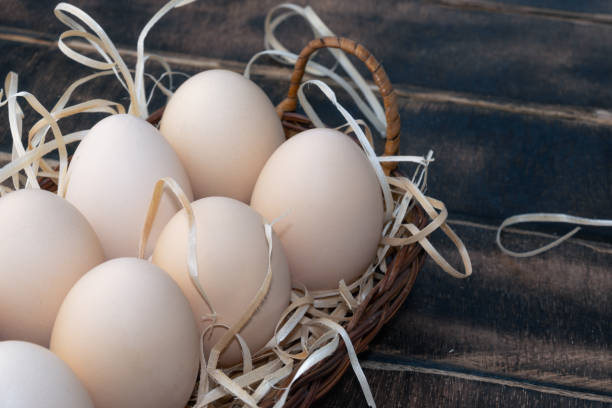 istock Raw Eggs. Eggs can give we protein A Close-Up Perspective. 1706324176