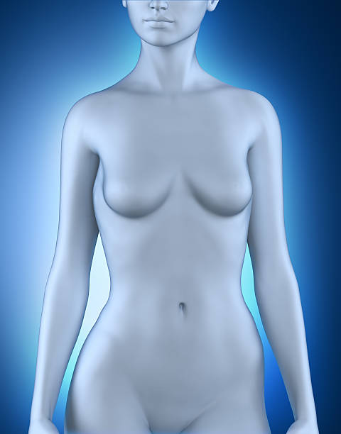 istock Female posing in anatomical position 170632853