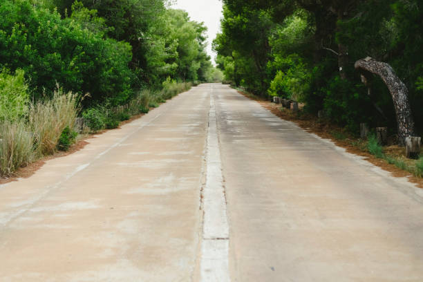 istock Lonely road in poor condition among trees. 1706355157