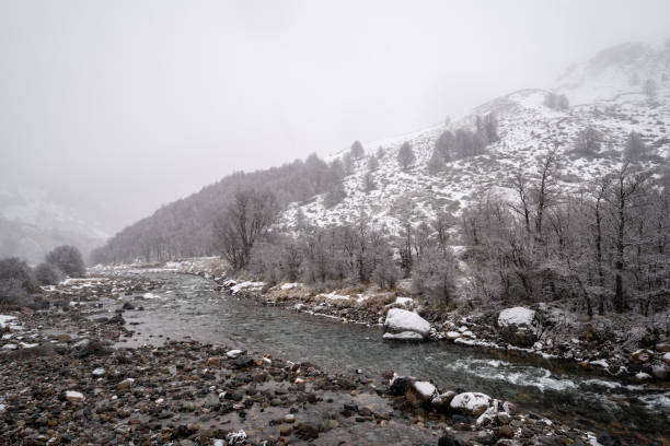 River flowing through snowy forests at Cerro Cstillo National Park in the Chilean Patagonia