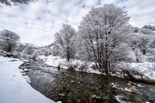 A beautiful winter landscape with an icey cold river, and fresh snow on the trees.