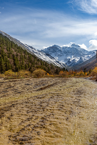 Seven Mile Golden Sand in Huanglong, China, unveils a spectacle of autumn foliage, a pristine landscape framed by snow-capped mountains and a crystalline blue sky, radiating serene beauty.