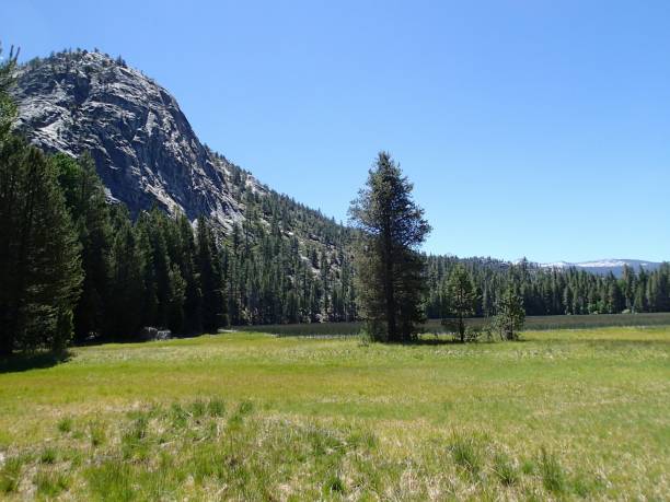 istock Summer day in the Sierra Nevada Mountains 1706376159