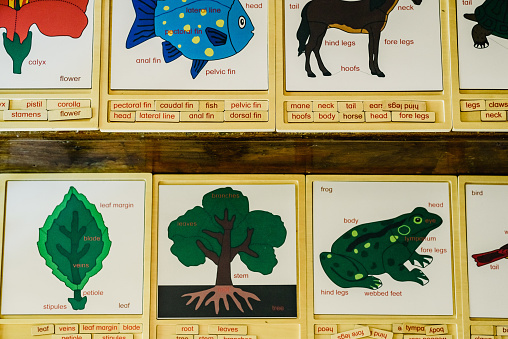 Cards with names of animals in a Montessori school.