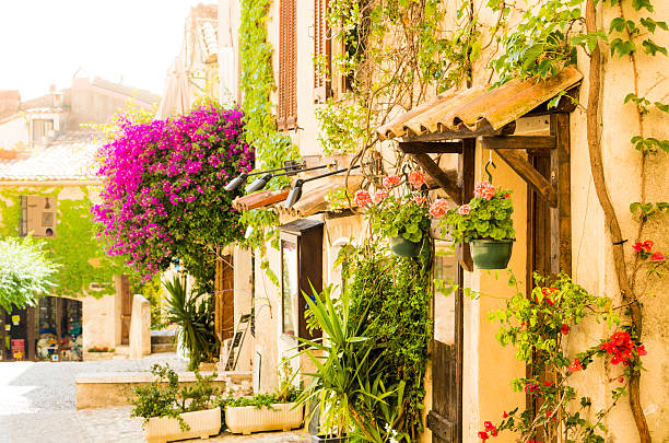 provenzale strada di città piena di fiori (provenza-alpi-costa azzurra, francia) - cote d’azur foto e immagini stock