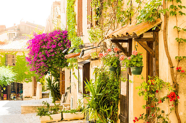 Street of provencal town full of flowers (Provence-Alpes-Cote d'Azur, France) Small town square in Cagnes-sur-Mer old town (in Provence-Alpes-Cote d'Azur, France). d'azur stock pictures, royalty-free photos & images