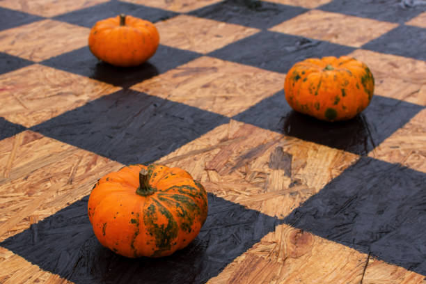 istock three pumpkins on the cells of a chessboard 1706446484
