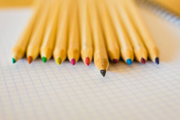 Group of pencils arranged on graph paper.