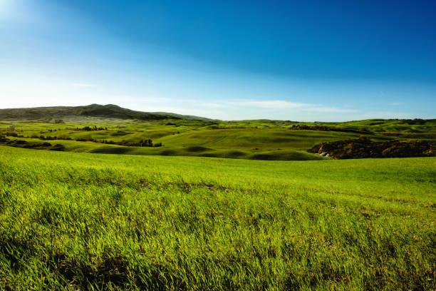 istock Green hills in Tuscany 1706460395