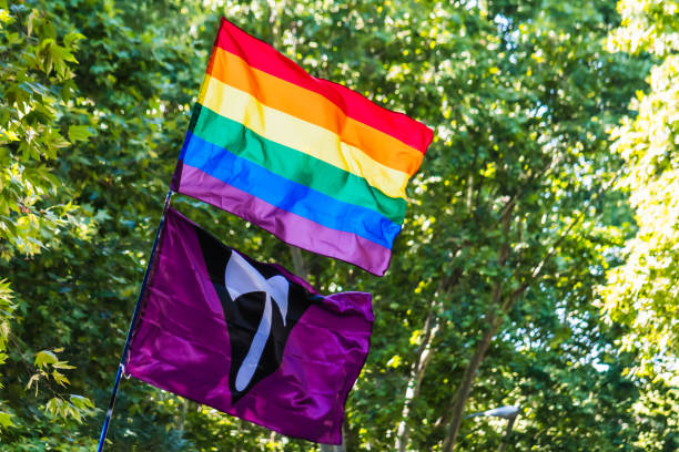 istock Labrys Lesbian Pride Flag and LGTBY Pride Flag 1706461961
