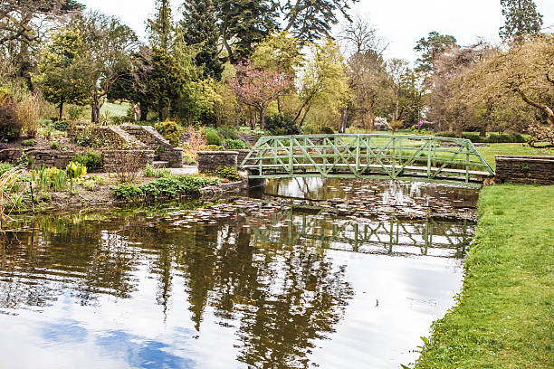 istock Botanical garden in Dublin 170647298