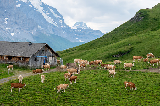 Mountain landscape in the Dolomite Alps. Spalti di Toro. Venetian Dolomites. Province of Belluno, Italy.