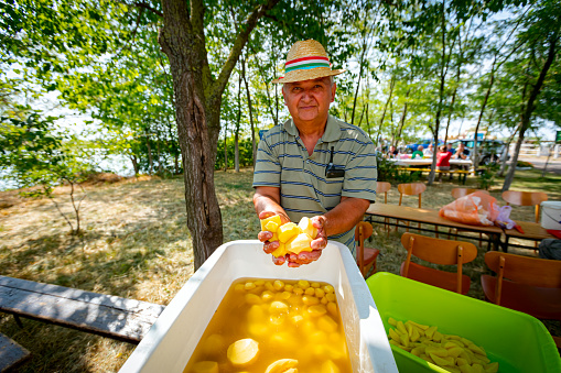 Elderly man farmer holding in his hands peeled washed raw young potatoes over white bowl with water. Preparing food outdoors