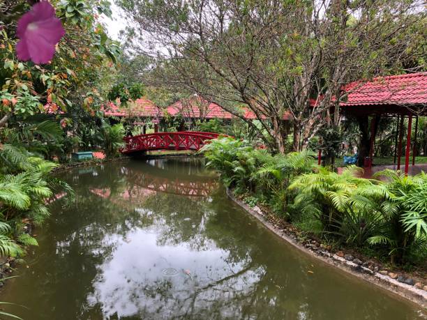 istock beautiful lake amidst greenery in Vietnam . 1706522305