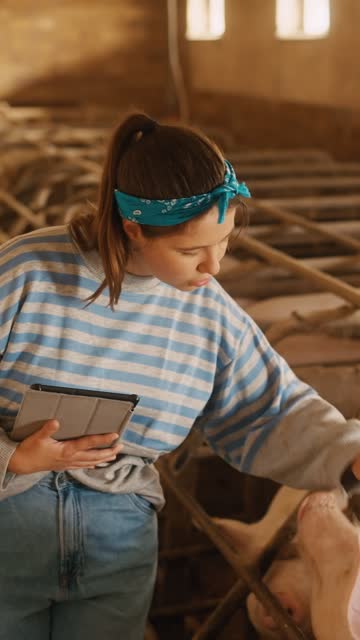 Young Female Farmer Touching Pigs in Cages Using Digital Tablet in Pigpen - VERTICAL