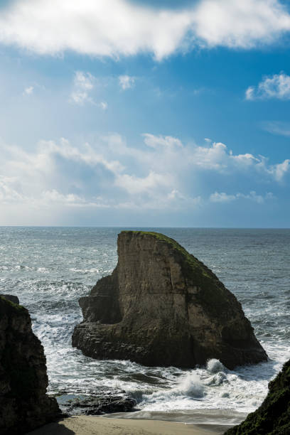 istock High Angle View of Shark Fin Cove 1706536383