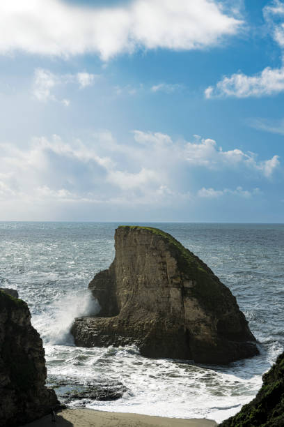 istock High Angle View of Shark Fin Cove 1706536727
