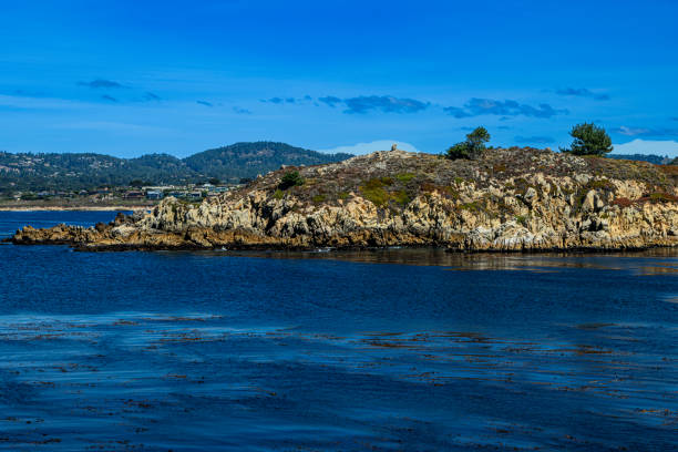 Wide view of rocky shore in Whaler's Cove, in Point Lobos State Park.\n\nTaken in Point Lobos State Park, California, USA