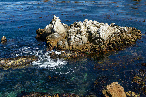 Wide view of rocky shore in Whaler's Cove, in Point Lobos State Park.\n\nTaken in Point Lobos State Park, California, USA