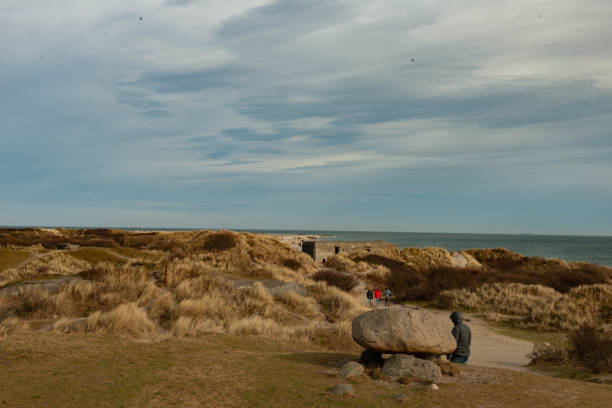 Dunes at Skagen Beach with Leymus