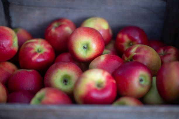 istock Apples at the farmers market 1706553763