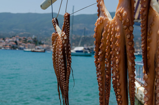 Octopus hanging outdoors to dry in Ios cyclades Greece