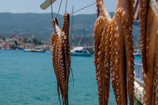 Cleaning Octopus