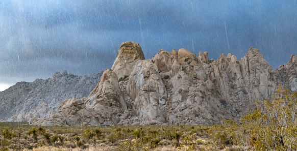 Rain and sleet storm in the Mojave National Preserve, California.