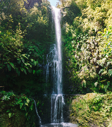 Waterfall in ‎⁨Madeira Natural Park⁩, ⁨Santana⁩, ⁨Madeira⁩, ⁨Portugal⁩