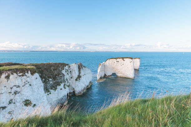 vue imprenable sur les célèbres old harry rocks, le point le plus oriental de la côte jurassique, un site du patrimoine mondial de l’unesco, royaume-uni. heure dorée du soir - jurassic coast world heritage site photos photos et images de collection