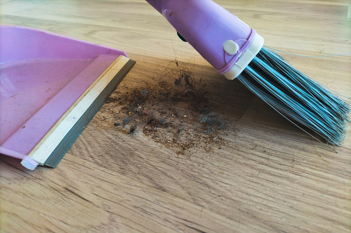 The process of cleaning garbage from the surface of the laminate floor with a pink scoop and broom. Garbage consists of hair, dust, food debris, pebbles