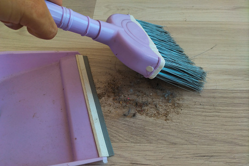 The process of cleaning garbage from the surface of the laminate floor with a pink scoop and broom. Garbage consists of hair, dust, food debris, pebbles